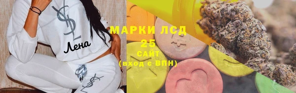 прущий лед Алзамай