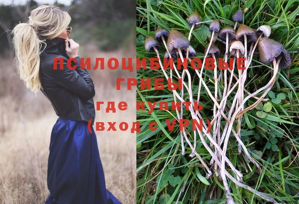 кокаин Осташков