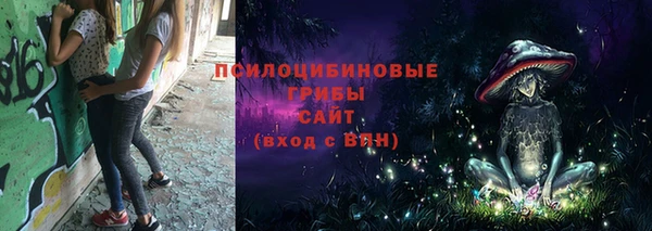стафф Алексеевка