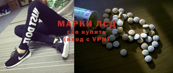 прущий лед Алзамай