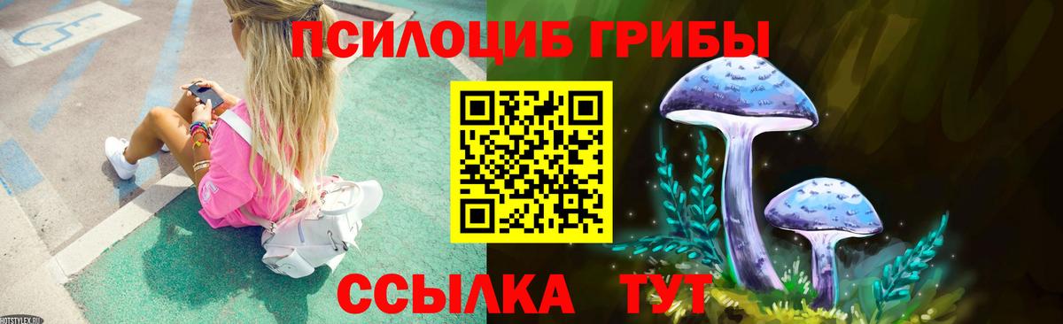 Галлюциногенные грибы прущие грибы  Вход с VPN  где найти наркотики  Галлюциногенные грибы Cubensis  Кизилюрт 