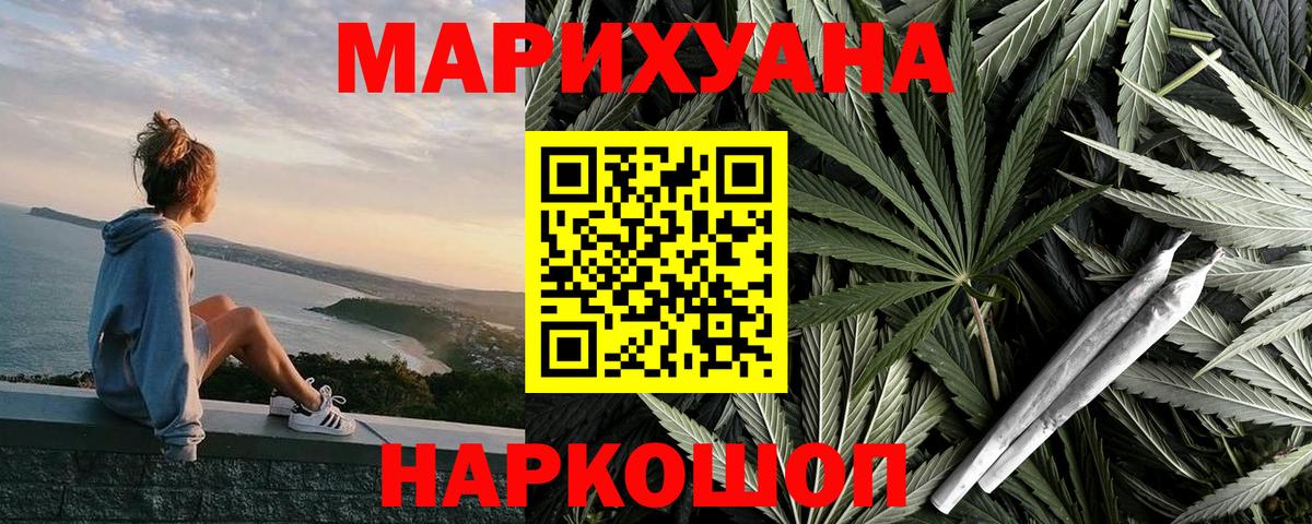 Бошки марихуана сатива  Шишки марихуана план  Вход с VPN  Кизилюрт 